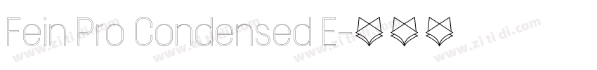 Fein Pro Condensed E字体转换